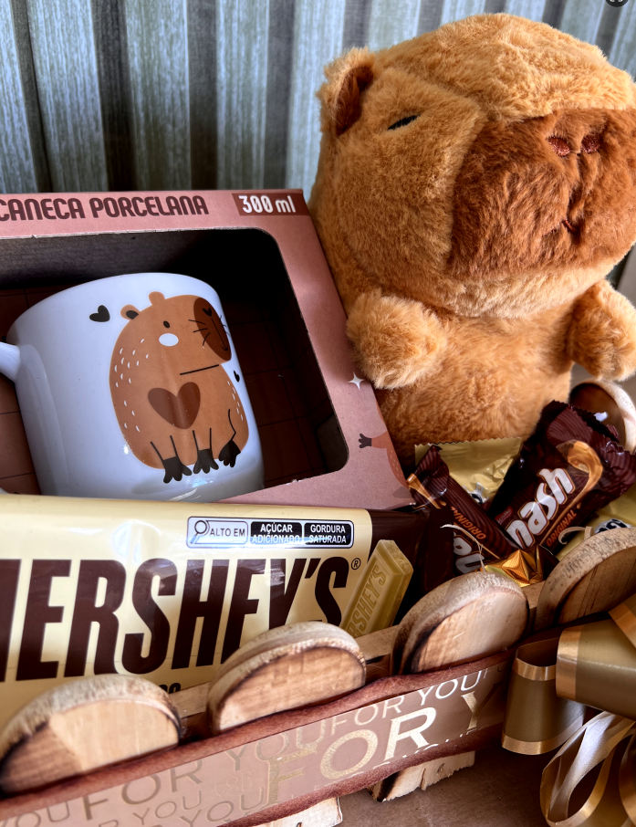 Cesta com Pelúcia Capivara e Chocolates - Imagem 3
